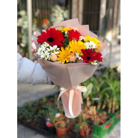 Gerbera Senfonisi