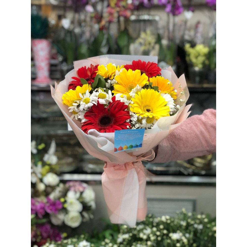 Gerbera ve Papatya Senfonisi