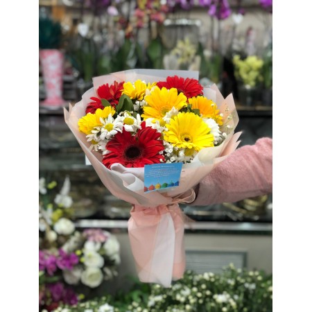 Gerbera ve Papatya Senfonisi