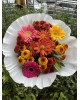 Gerbera ve Papatyalar