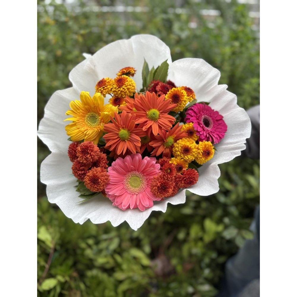 Gerbera ve Papatyalar